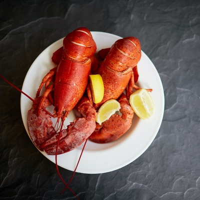Fresh Lobster One Pound (1.0-1.30lbs each)