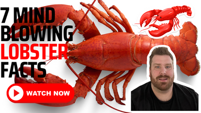 From Blue Blood to Two Frontal Brains: 7 Mind-Blowing Lobster Facts You Need to Know