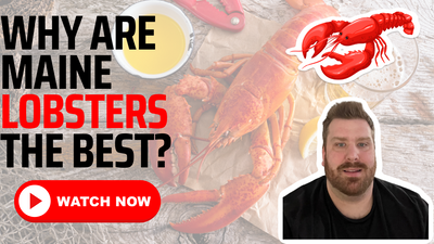 Why is Maine Lobster the Best Lobster? Maine Lobsterman Explains Why
