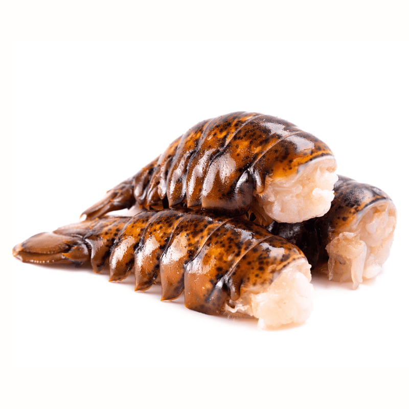 Lobster Tails For Sale (4/5oz each) 2 Pack Flash Frozen