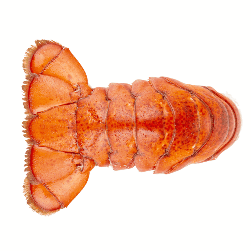 Lobster Tails Atlantic Cold Water  For Sale (4/5oz each) 2 Pack Flash Frozen