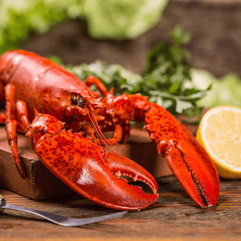 Lobster One Pound (1.0-1.30lbs each)