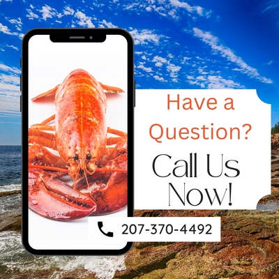 Buy Live Maine Lobster  call us now 
