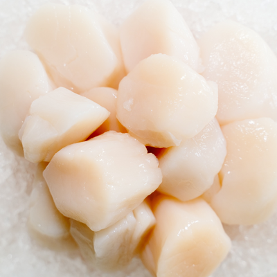 Fresh Maine Sea Scallops Price Per Pound raw