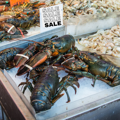 Fresh Maine Lobsters (3 lb lobsters)